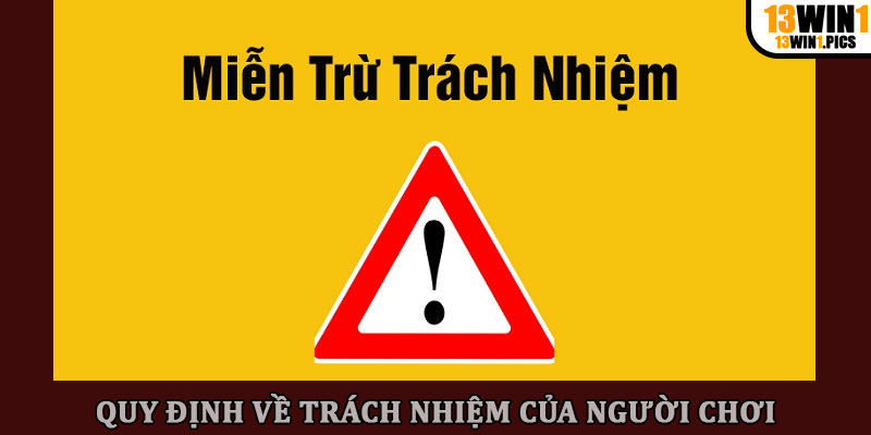 Quy định về trách nhiệm của người chơi